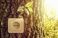 Green energy tree.jpg